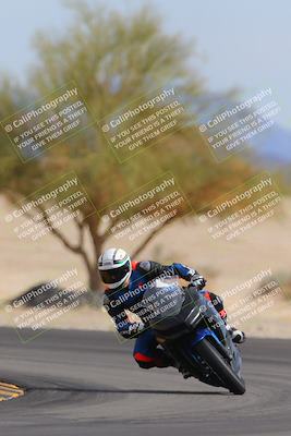 media/Nov-05-2022-SoCal Trackdays (Sat) [[f8d9b725ab]]/Turn 4 Tree of Life (125pm)/